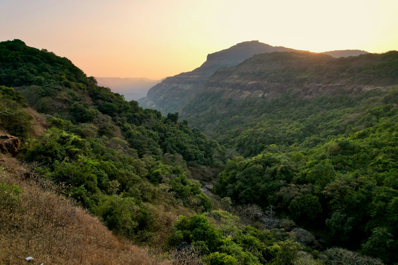 the sun is setting over the mountains and trees